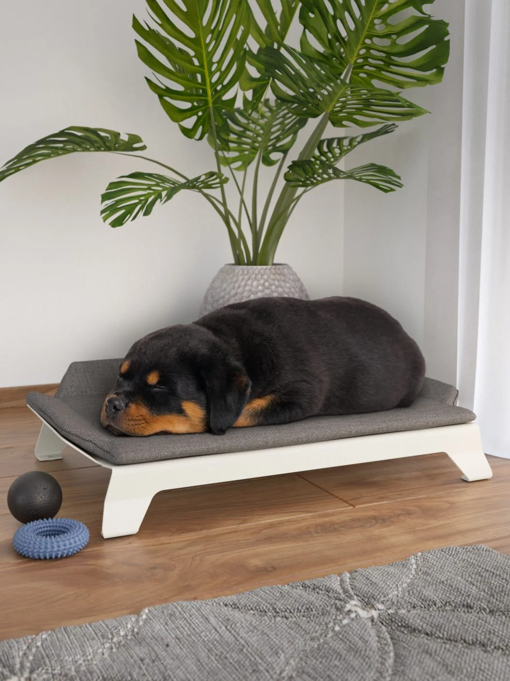 Riposa Large – modern fekhely kutyának és macskának - Image 2